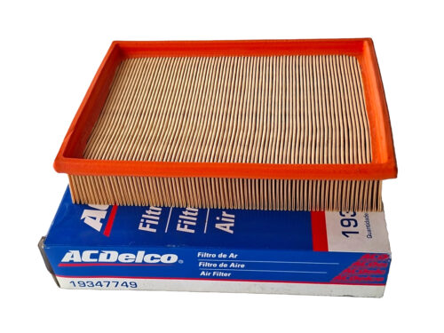 Filtro Ar Escort Verona Royale Gol Santana Acdelco 19347749
